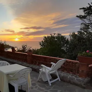 Oleandro Marciana (Isola d'Elba)